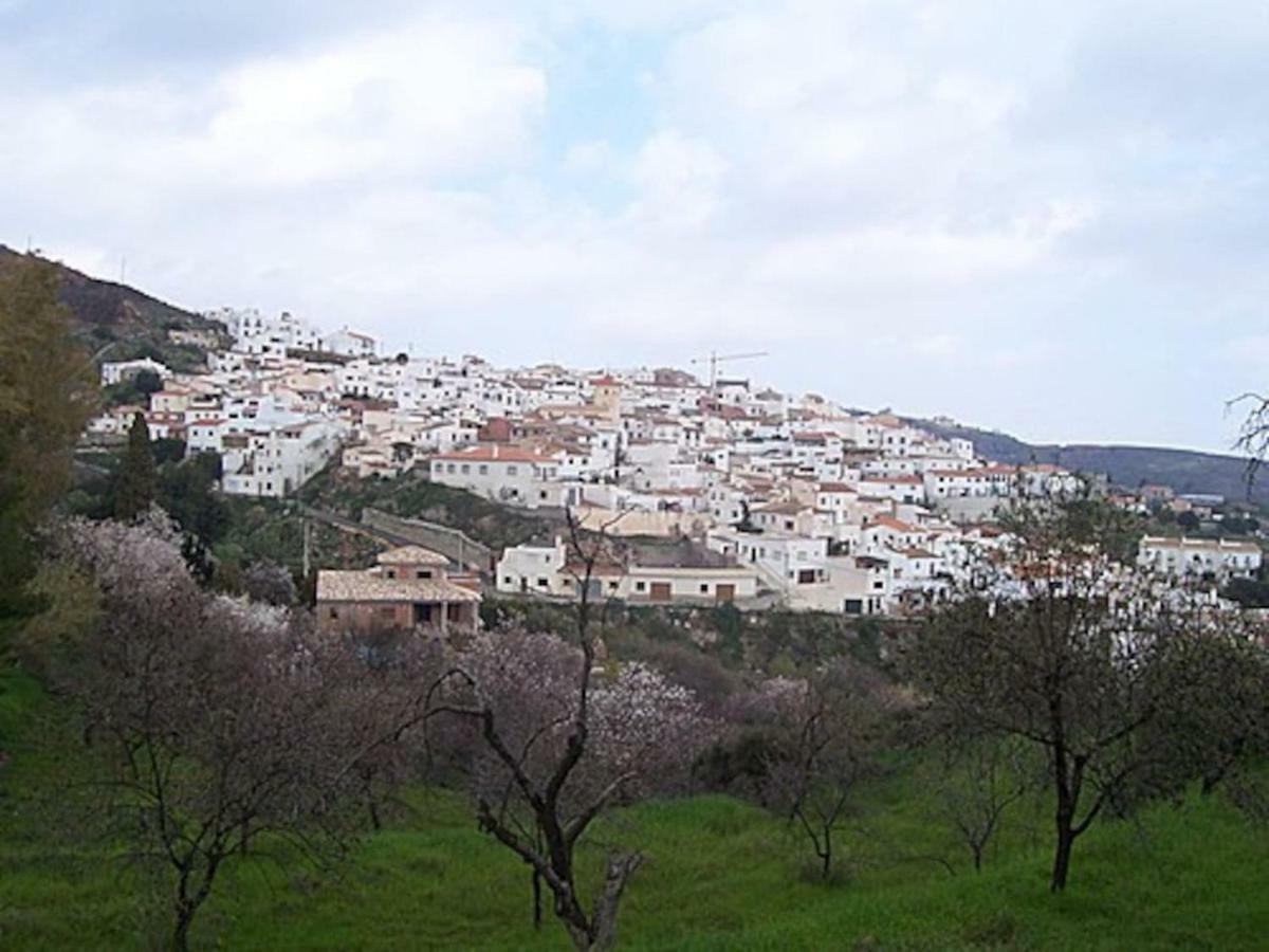 Casita De Pueblo Reformada, Terraza Con Vistas Preciosas Y Parking Privado Daire Bédar Dış mekan fotoğraf